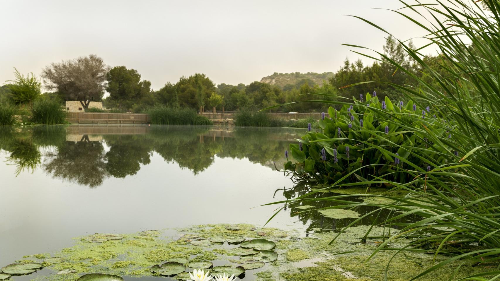 Paisaje de Rojales, Alicante.