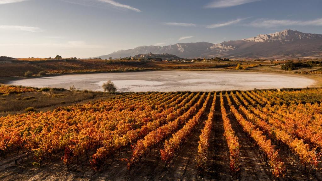 Laguna de Carravalseca, en la Rioja Alavesa