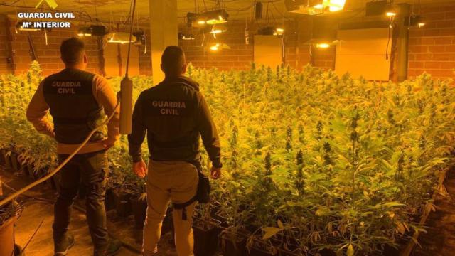 Alijo de drogas. Foto: Guardia Civil.