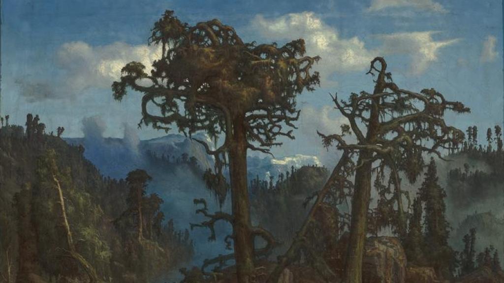Lars Hertervig: 'Old Pine Trees', 1865
