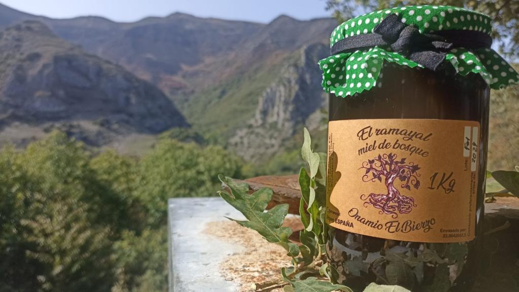 La miel de El Ramayal, condecorada con la medalla de oro en los Paris Honey Awards.