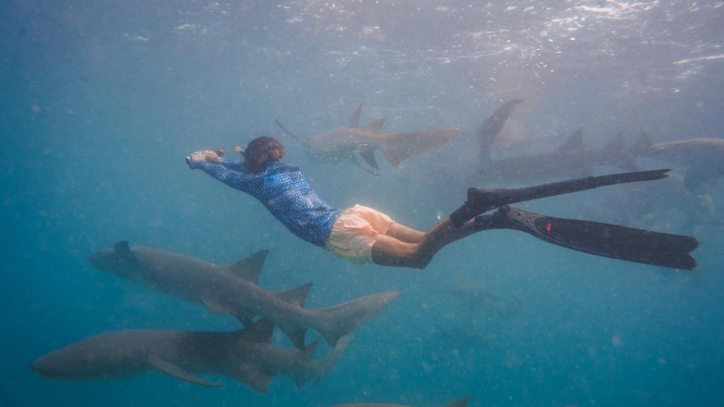 Charlie Sarria nadando entre tiburones.
