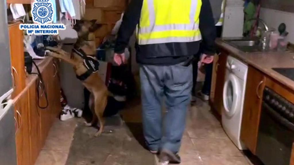 Detenidos cuatro miembros de un clan por venta de drogas en la barriada de Capuchinos (Orihuela)