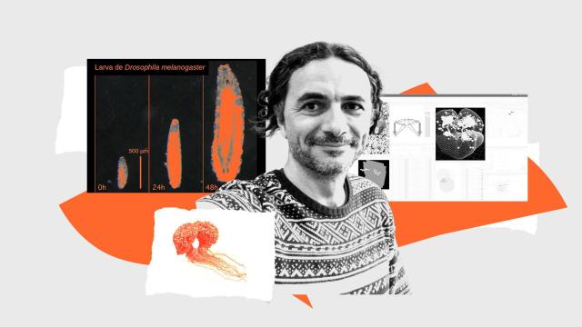 El científico y profesor de Cambridge, Albert Cardona, quien ha reconstruido con su equipo el cerebro de una mosca de la fruta.