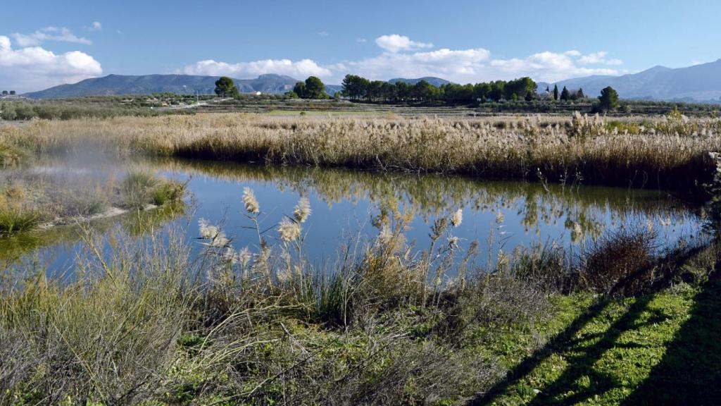 La Laguna de Gaianes