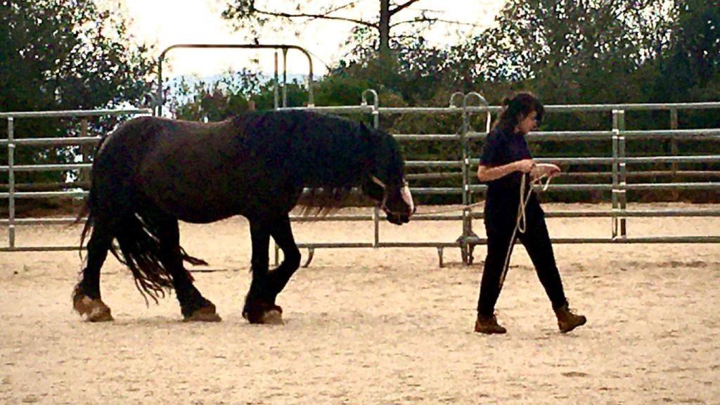 Claire a los quince años haciendo equinoterapia en Horseway.