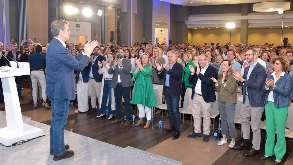 Alberto Núñez Feijóo, este domingo durante su intervención en Guadalajara