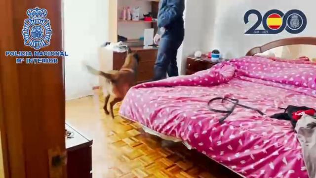 Agentes de la Policía Nacional registran un domicilio en el marco de la Operación Bolívar