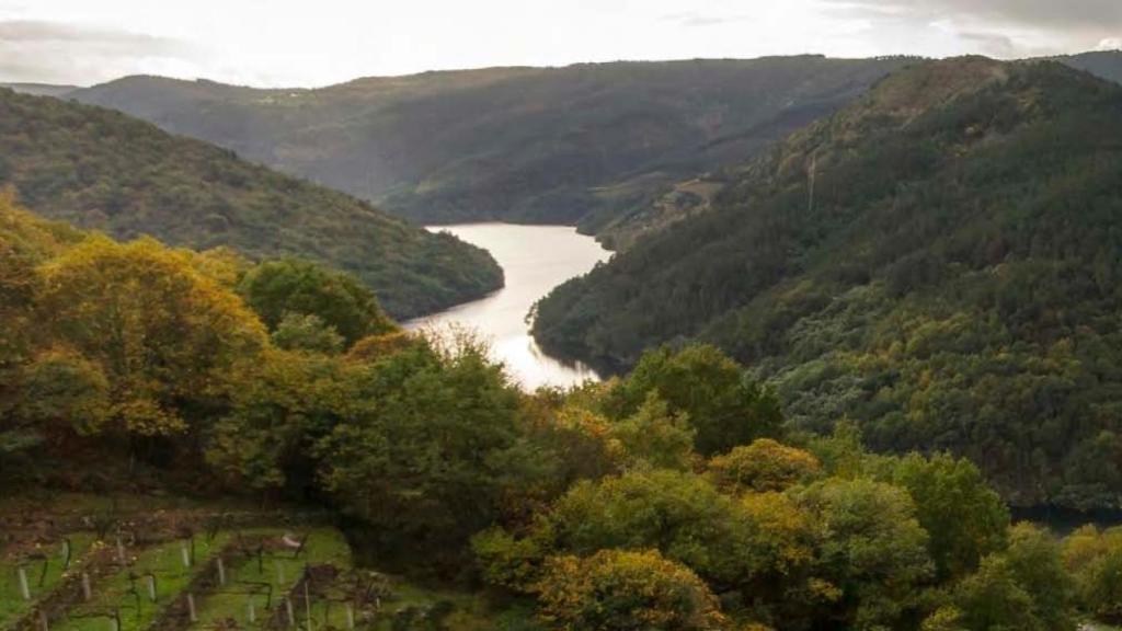 La Ribeira Sacra del Miño.