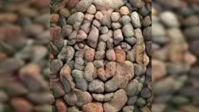 ¿Qué es lo primero que ves en esta imagen?