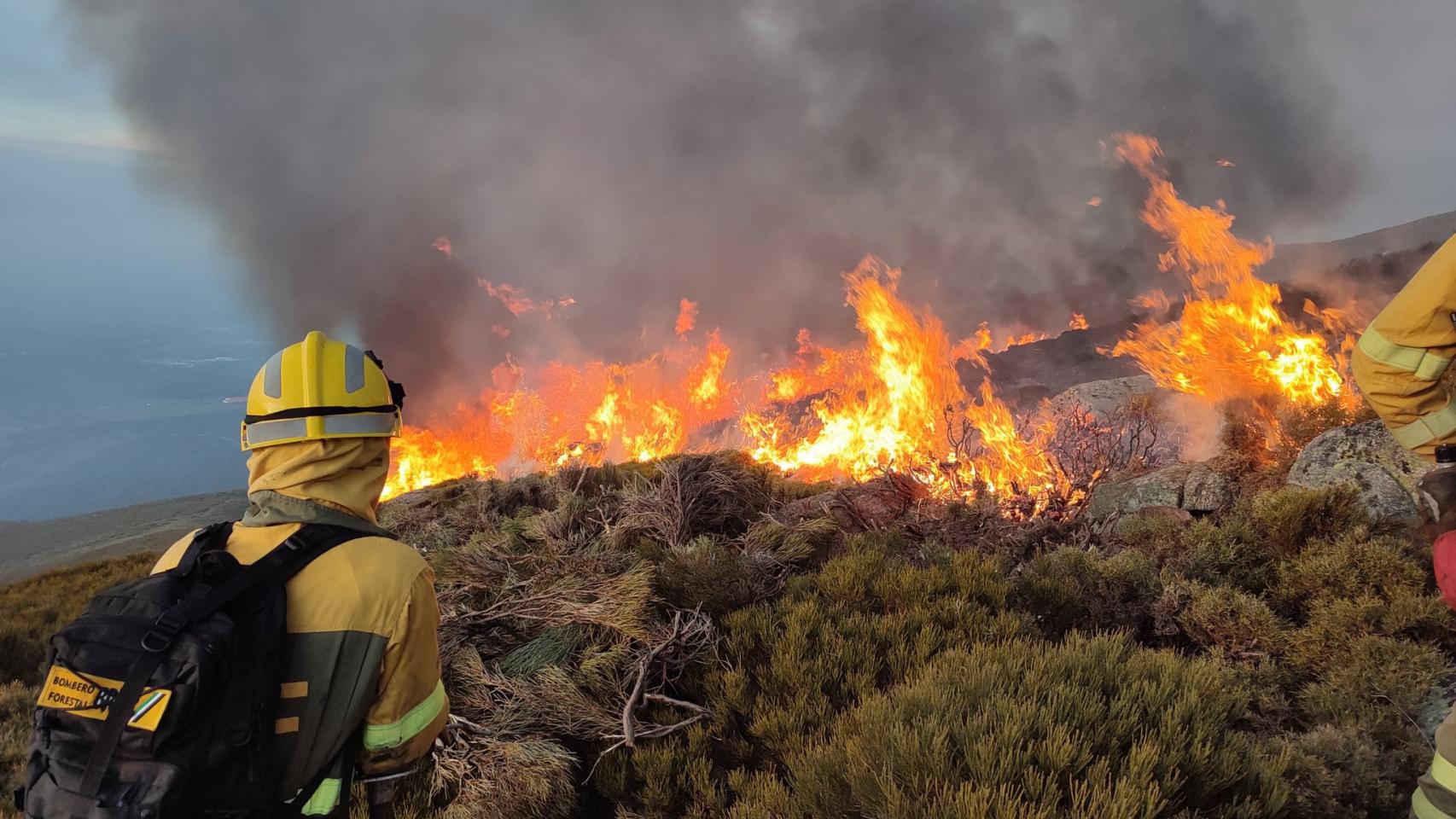 Imagen del incendio forestal de Candelario, Salamanca