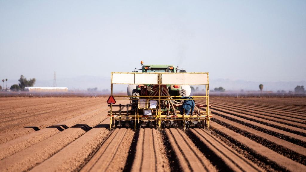 Un campo de cultivo en plena sequía.