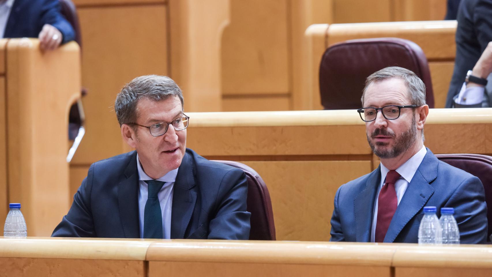 Feijóo y Javier Maroto, portavoz en el Senado, este miércoles en la Cámara Alta.