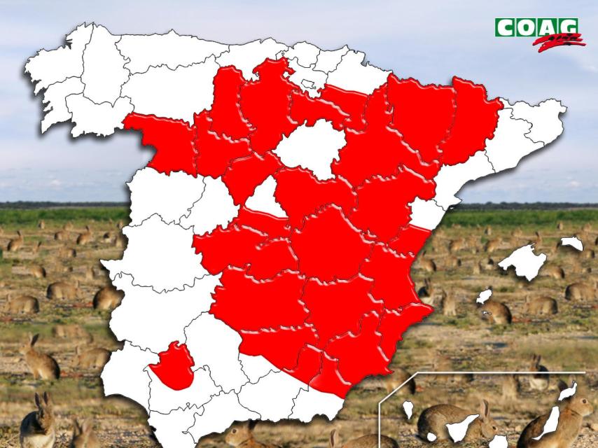 Mapa de las provincias afectadas por la plaga de conejos, según datos registrados por COAM