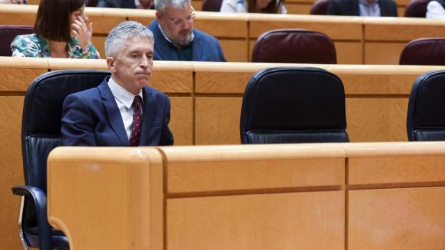 El ministro Grande-Marlaska, el pasado martes en el Senado./