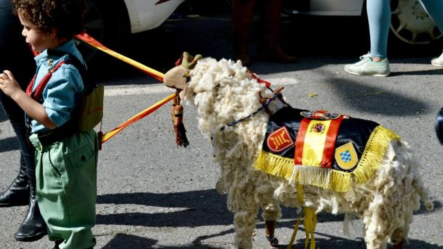 c3bfcc48-aec0-4e54-913e-fe5f0cfa8de1