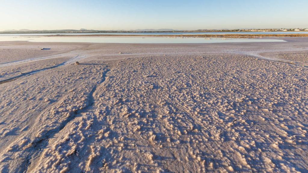 Laguna Rosa de Torrevieja.