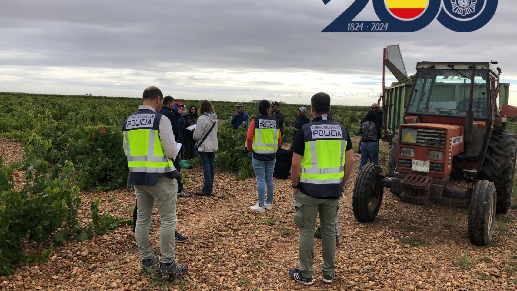 Imagen de la inspección de la Policía Nacional en el viñedo de un pueblo de Valladolid.