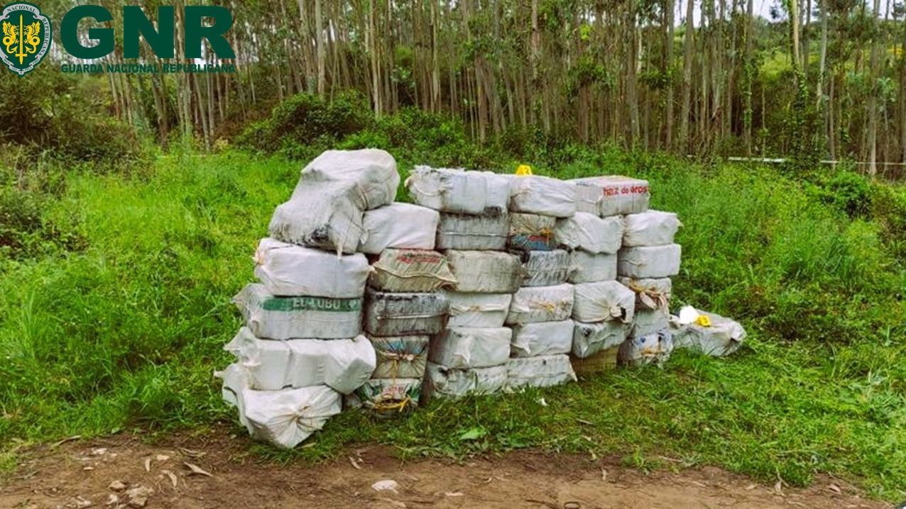Cocaína encontrada en Leiría (Portugal).