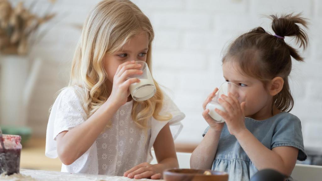 Omega-3 DHA, esencial en la dieta de los más pequeños para su desarrollo intelectual