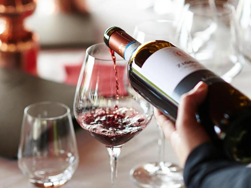 Cata de vinos