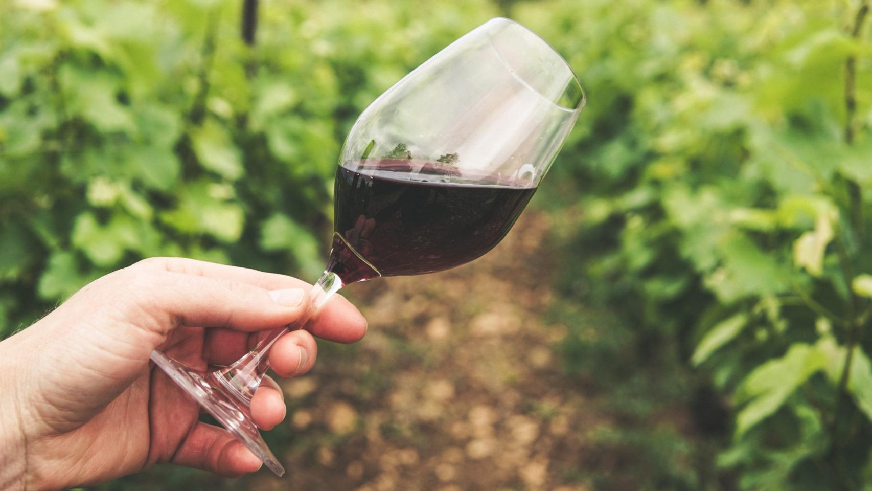 Dos mundos en una copa de vino