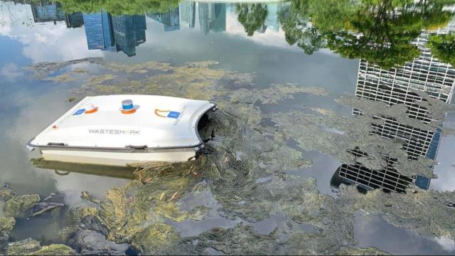 WasteShark limpiando un lago