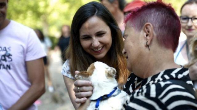 Guía para que no te engañen con el seguro obligatorio para perros de Belarra: entre 32 y 94 €