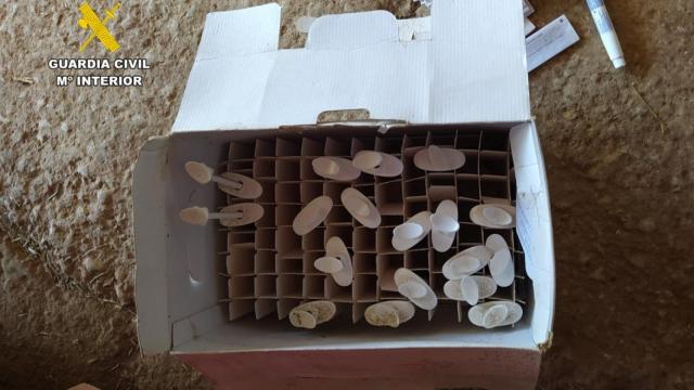 Pruebas de los delitos incautadas por la Guardia Civil.