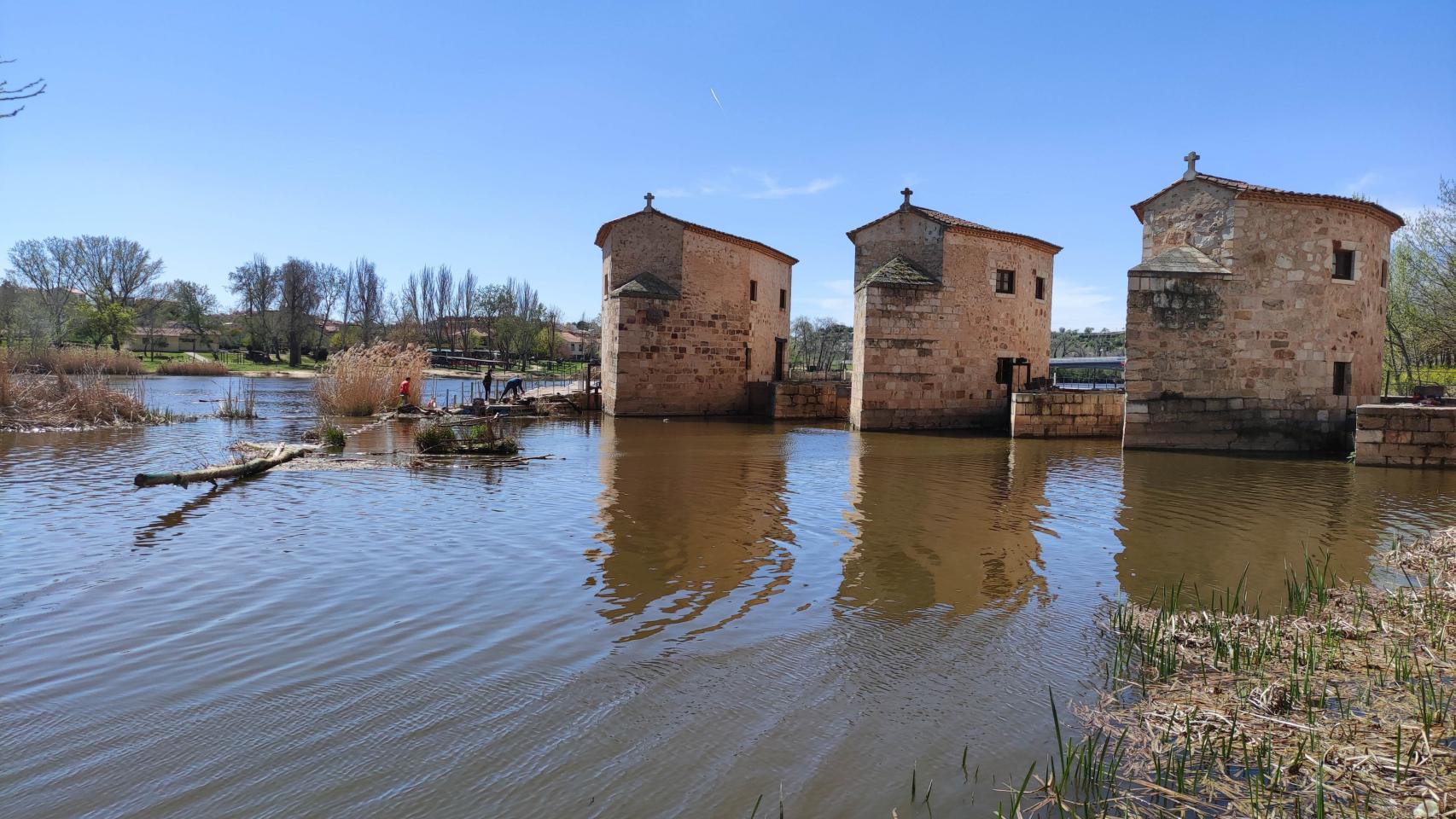 Aceñas de Olivares