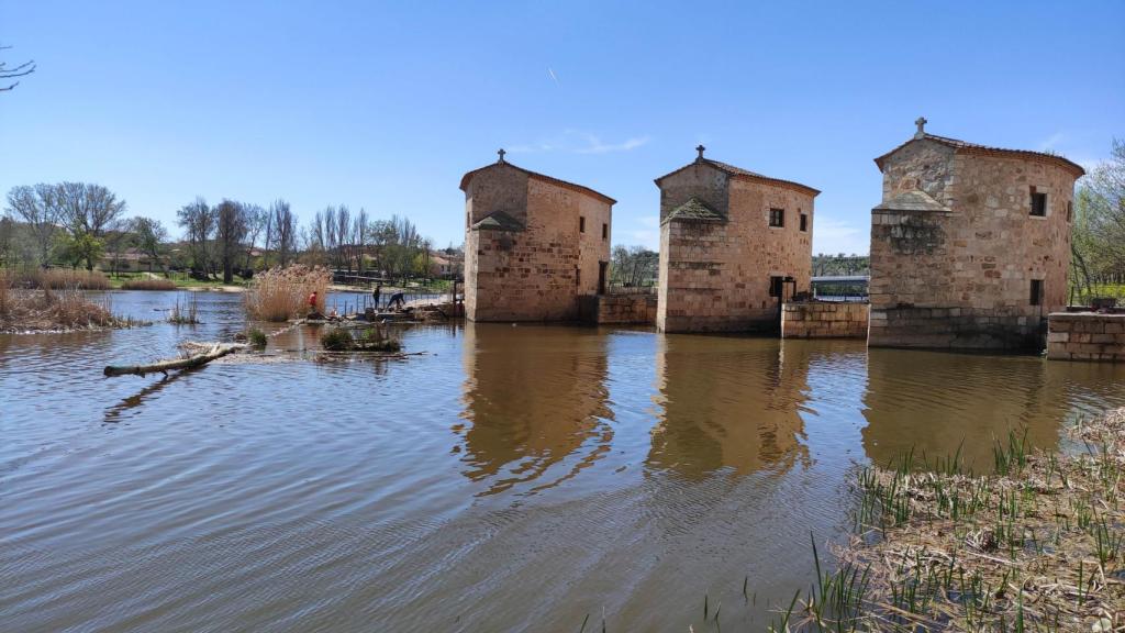 Aceñas de Olivares