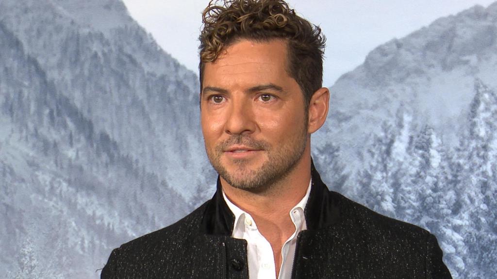 El artista almeriense David Bisbal en una imagen tomada en un acto público, en Madrid, en 2019.