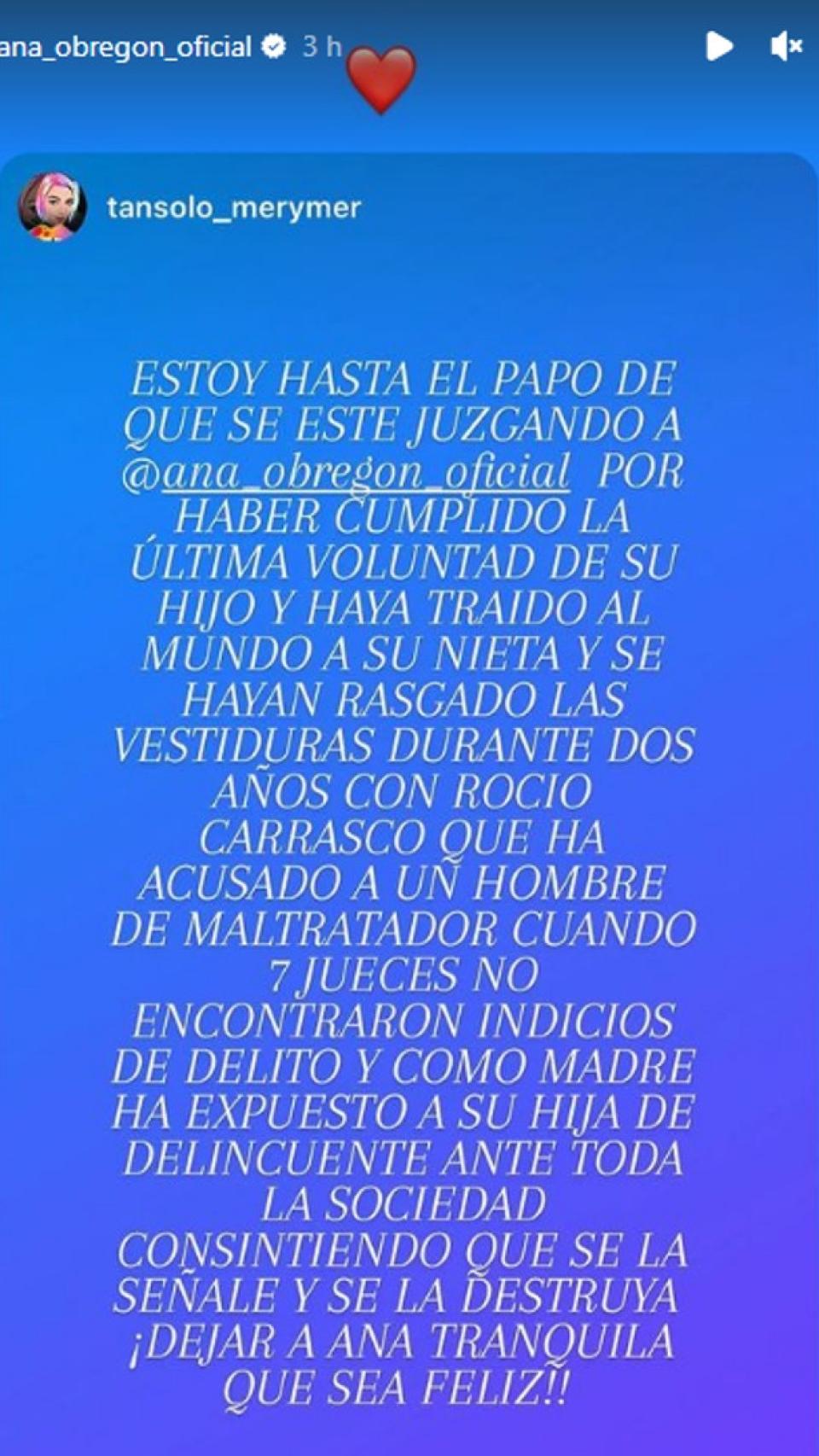 Imagen de la cuenta de Instagram de Ana Obregón.