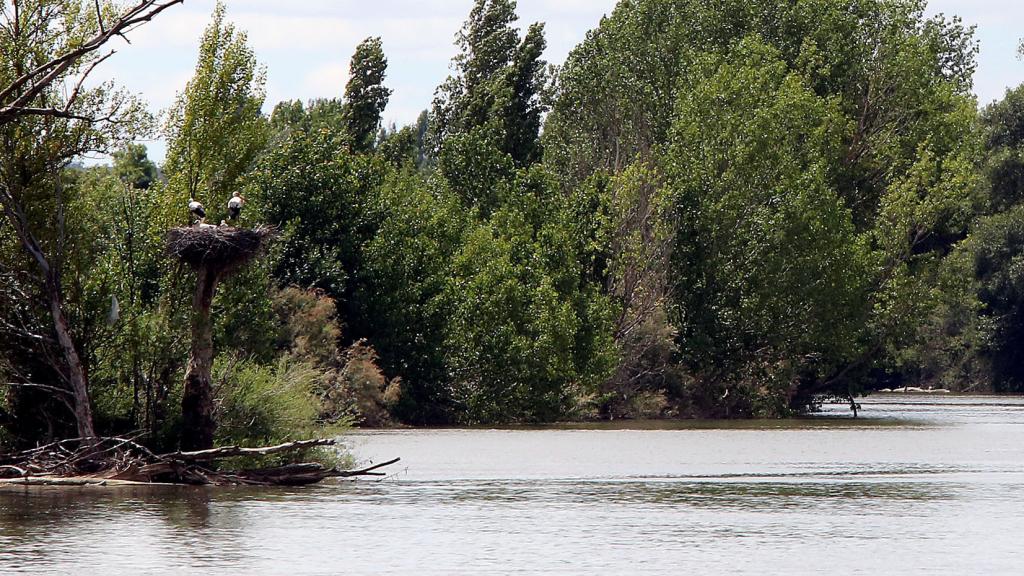 Río Pisuerga