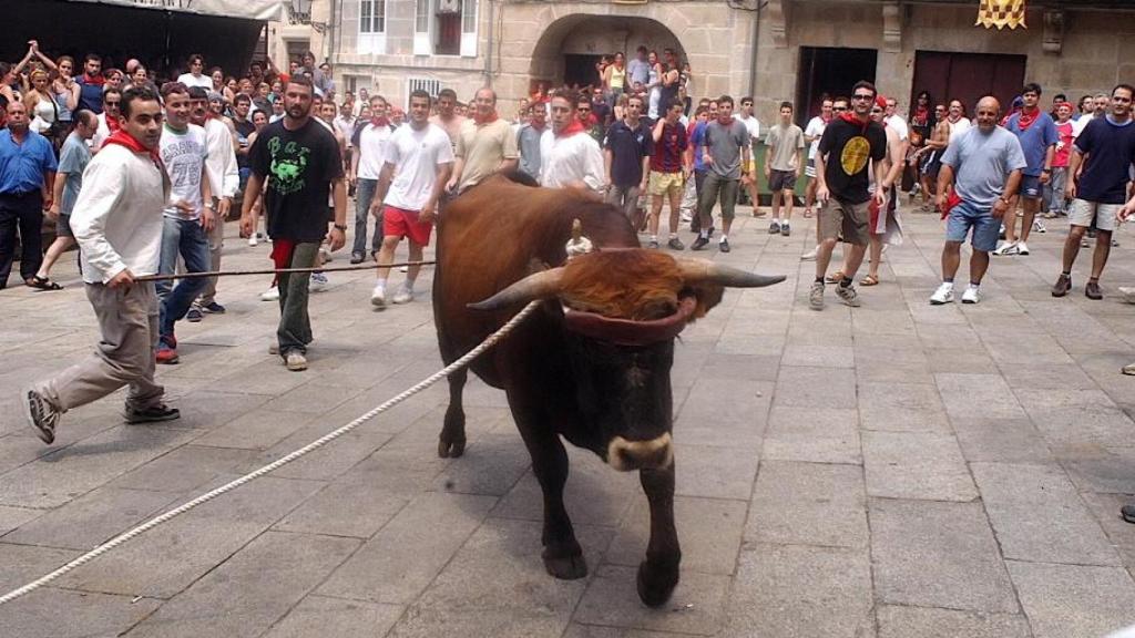 Festa do Boi en Allariz