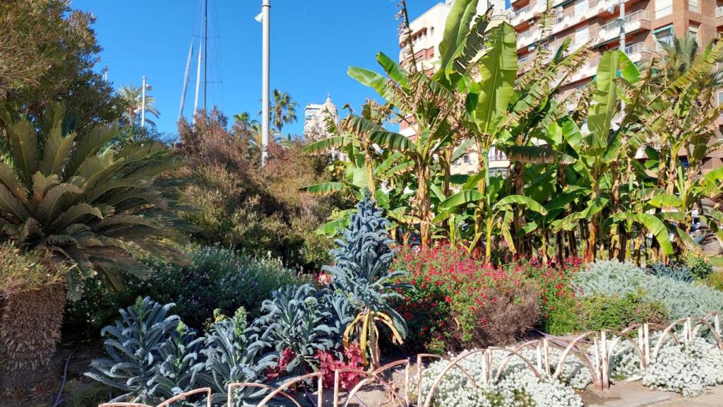 La actuación en los parterres, con plantas de diferentes tamaños, es una de las mayores.