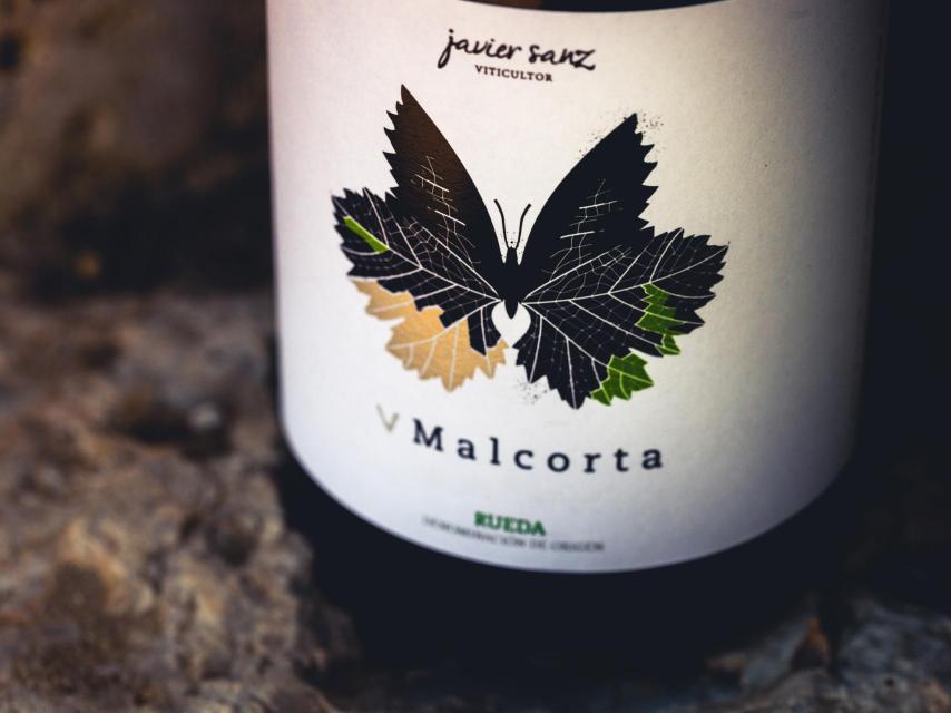 V Malcorta, bodega Javier Sanz Viticultor