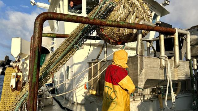 En busca del bacalao Skrei: el bocado gourmet que viaja desde el Ártico noruego a nuestras mesas