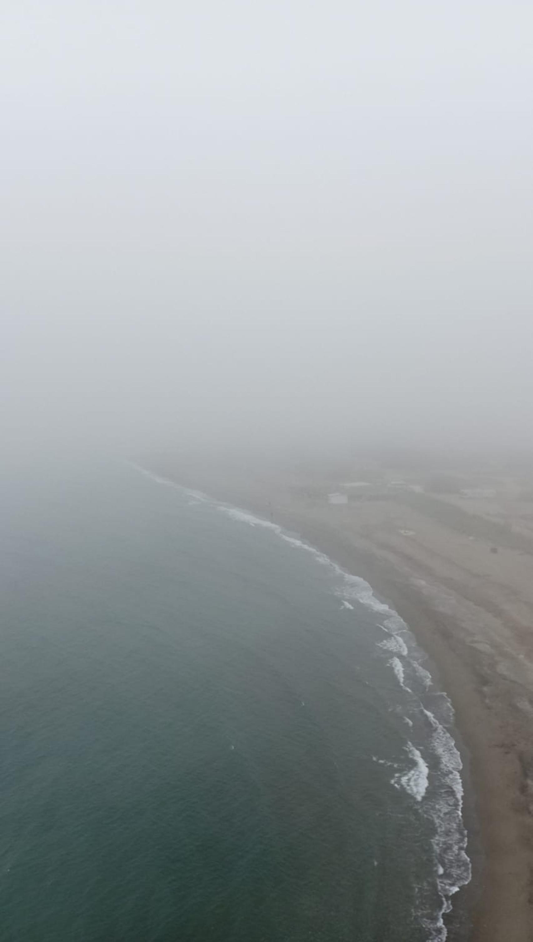 Otra imagen del taró en la zona de Guadalmar.