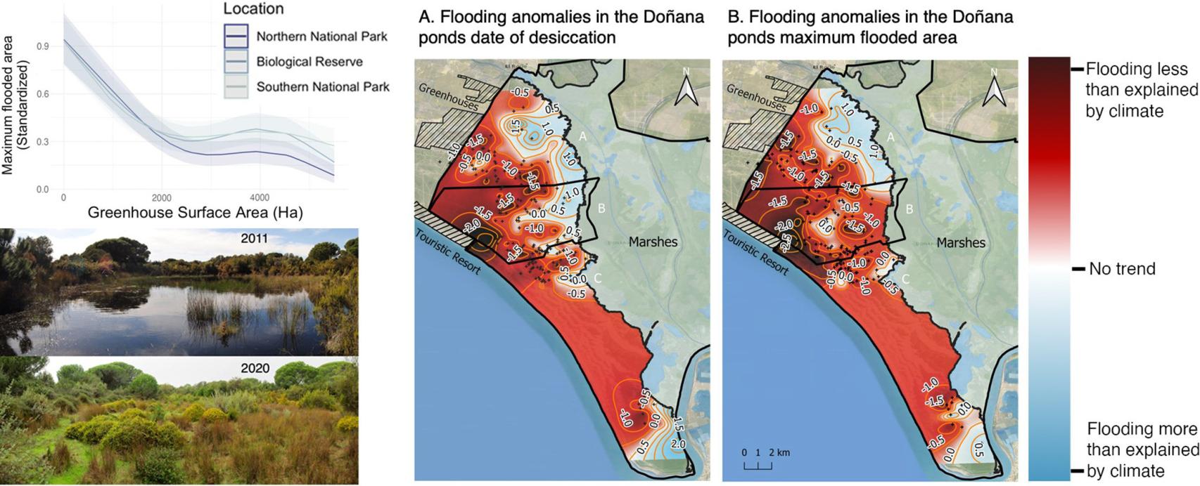 La evolución de Doñana.