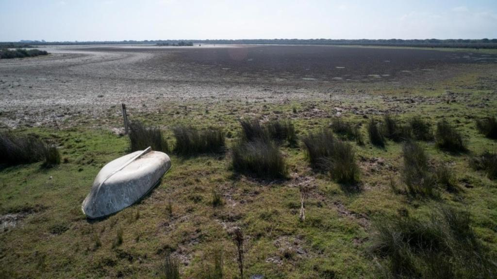 La reserva de Doñana en sequía.