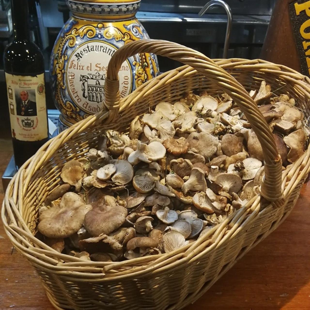 Sus setas en cardo para cocinar callos recién cogidas en el mostrador del restaurante.