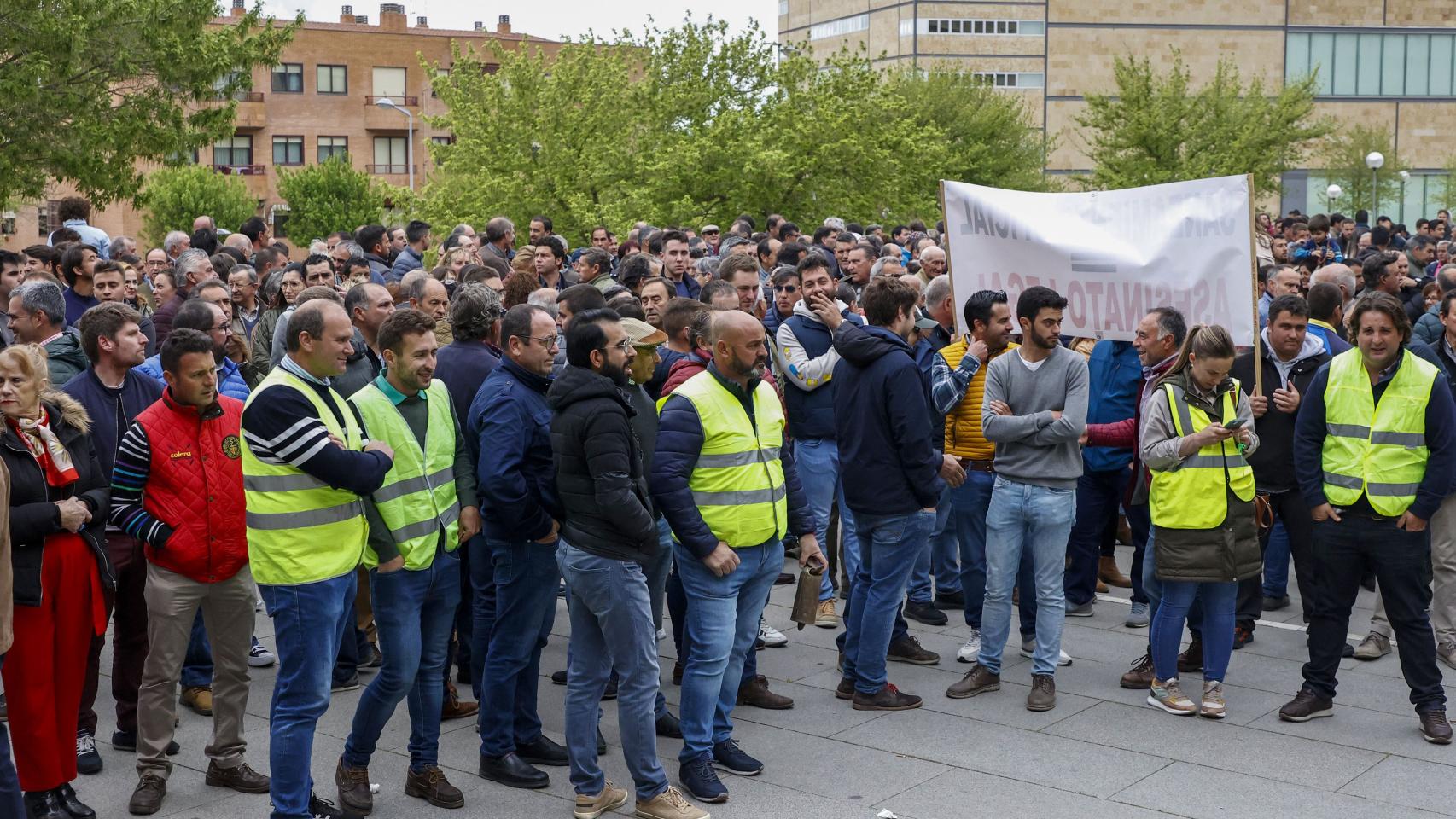 Concentracion de ganaderos ante la Delegación de la Junta en Salamanca