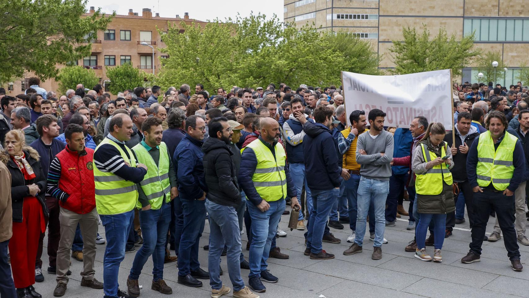 Concentracion de ganaderos ante la Delegación de la Junta en Salamanca