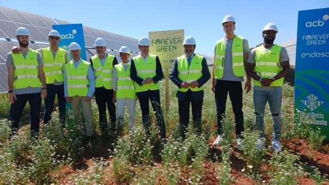 Jugadores del Real Betis, el director general de la ACB, la directora general de Sistemas y Valores del Deporte de la Junta de Andalucía, el director general de Endesa en Andalucía, Extremadura, Ceuta y Melilla y el alcalde de Carmona