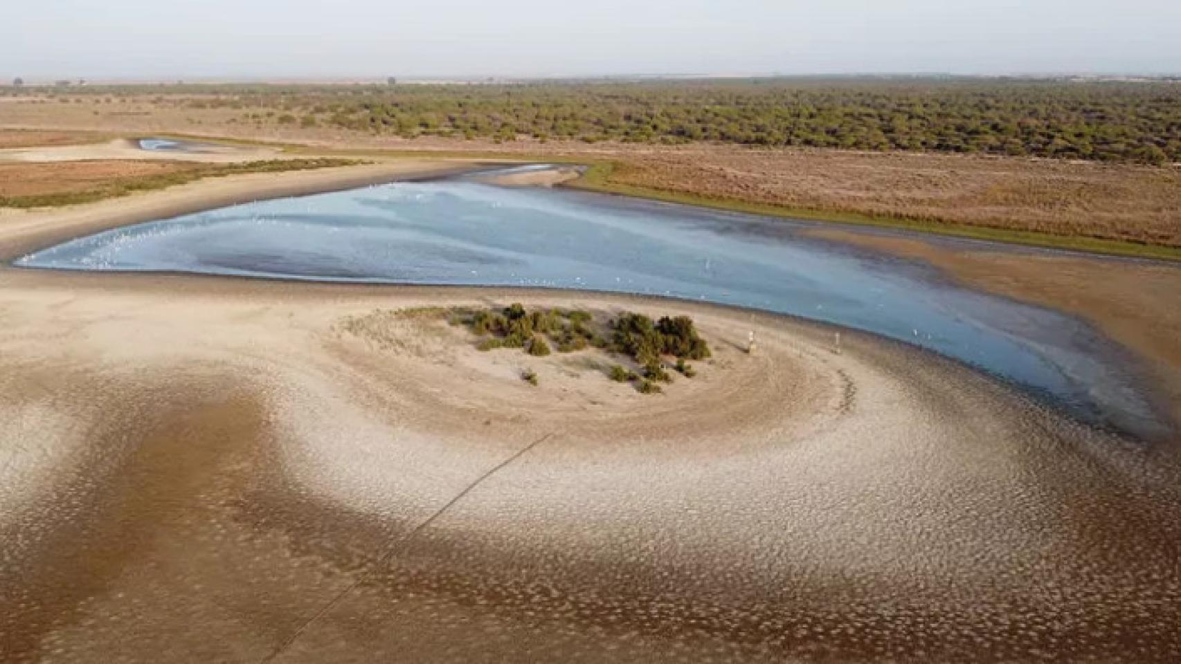 La laguna de Santa Olalla, en Doñana, prácticamente seca.