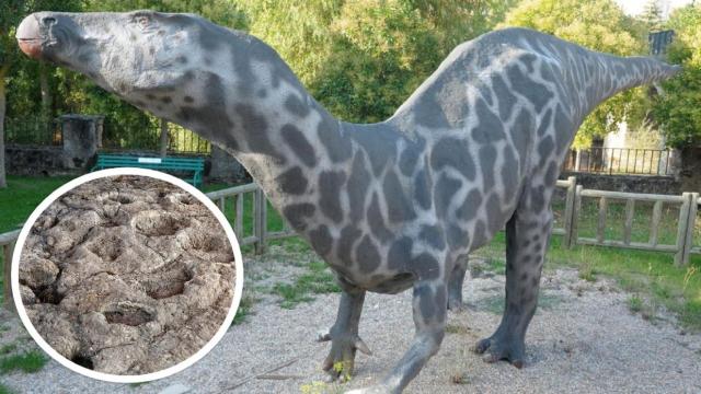 Imagen del yacimiento El Frontal en la Ruta Tierra de Dinosaurios, en Burgos.