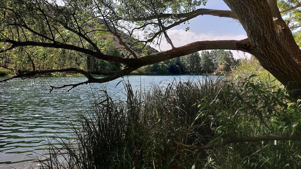Laguna de Somolinos.