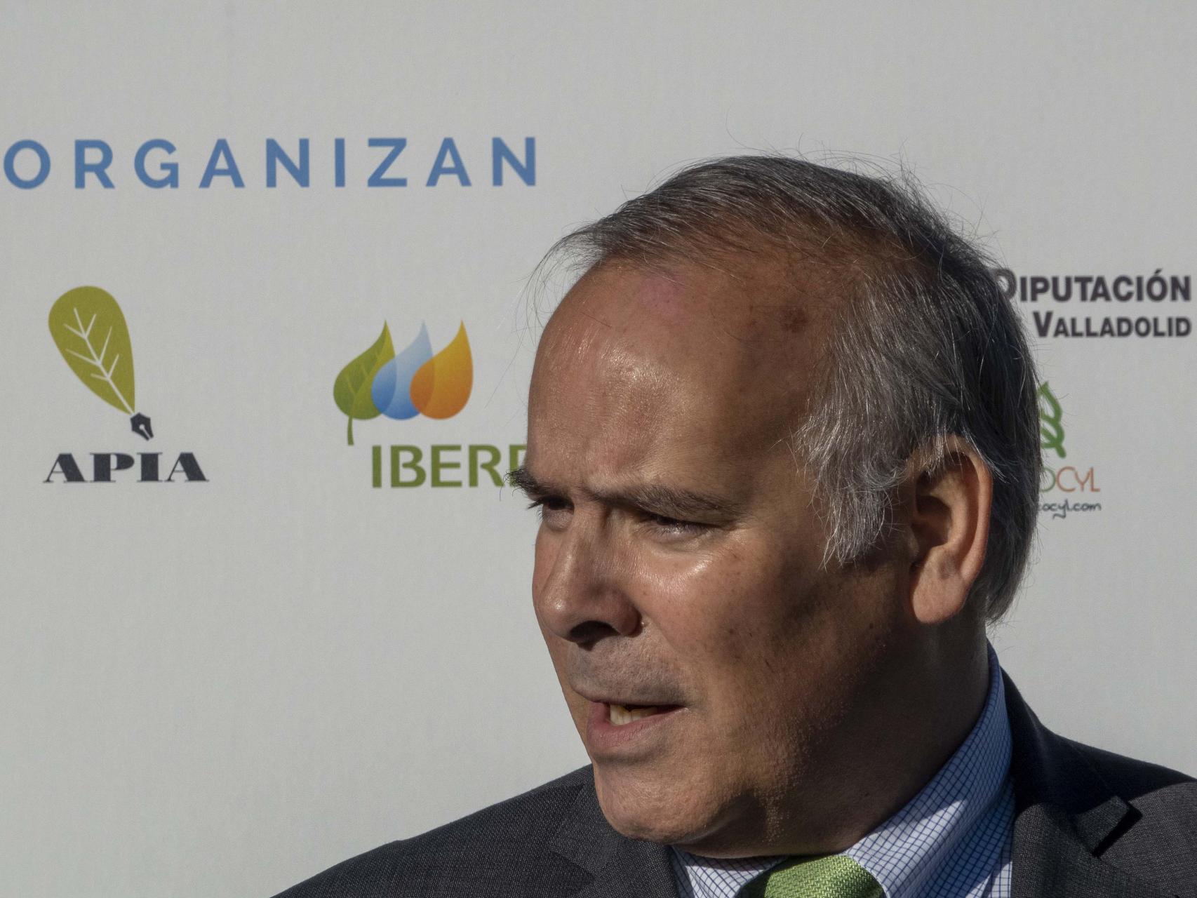 Mario Ruiz-Tagle, CEO de Iberdrola España, hoy en Valladolid.