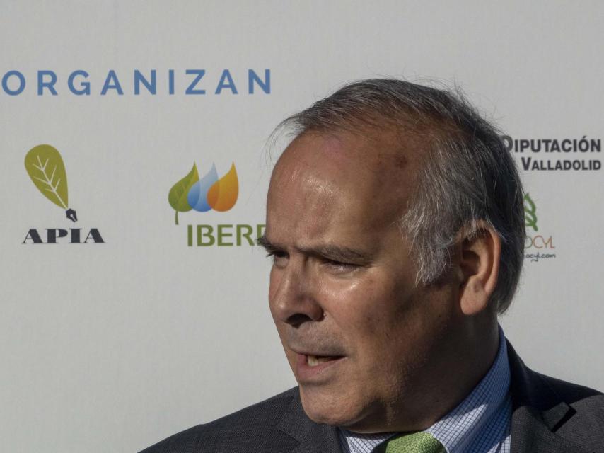 Mario Ruiz-Tagle, CEO de Iberdrola España, hoy en Valladolid.